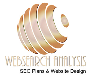 WebSearch Analysis